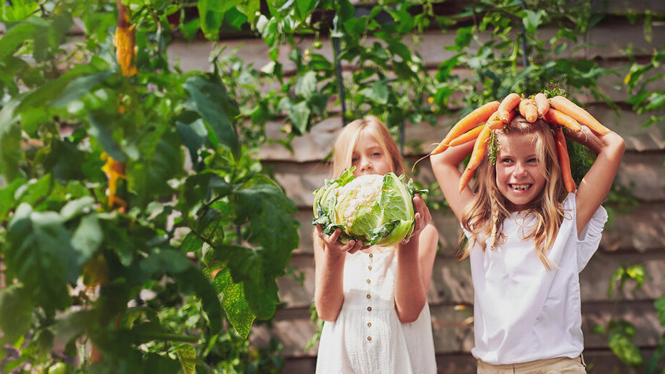 Een sfeerbeeld van Ardo