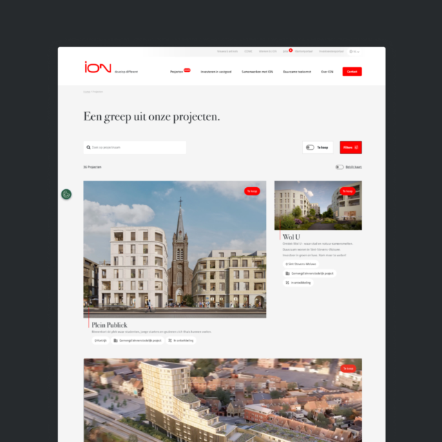 ION - Projecten