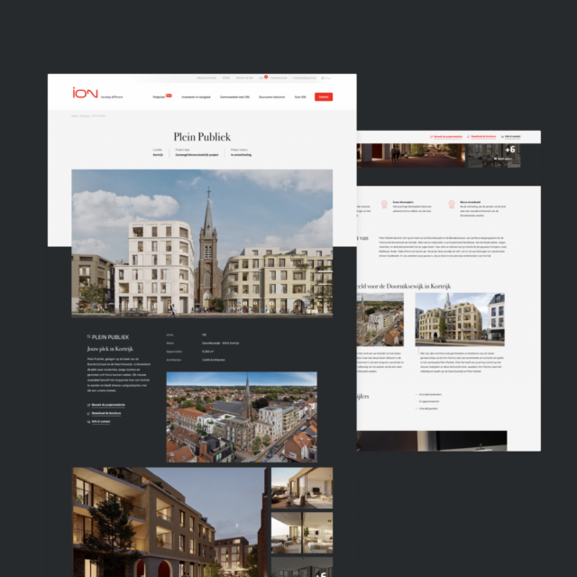 ION - Project detail