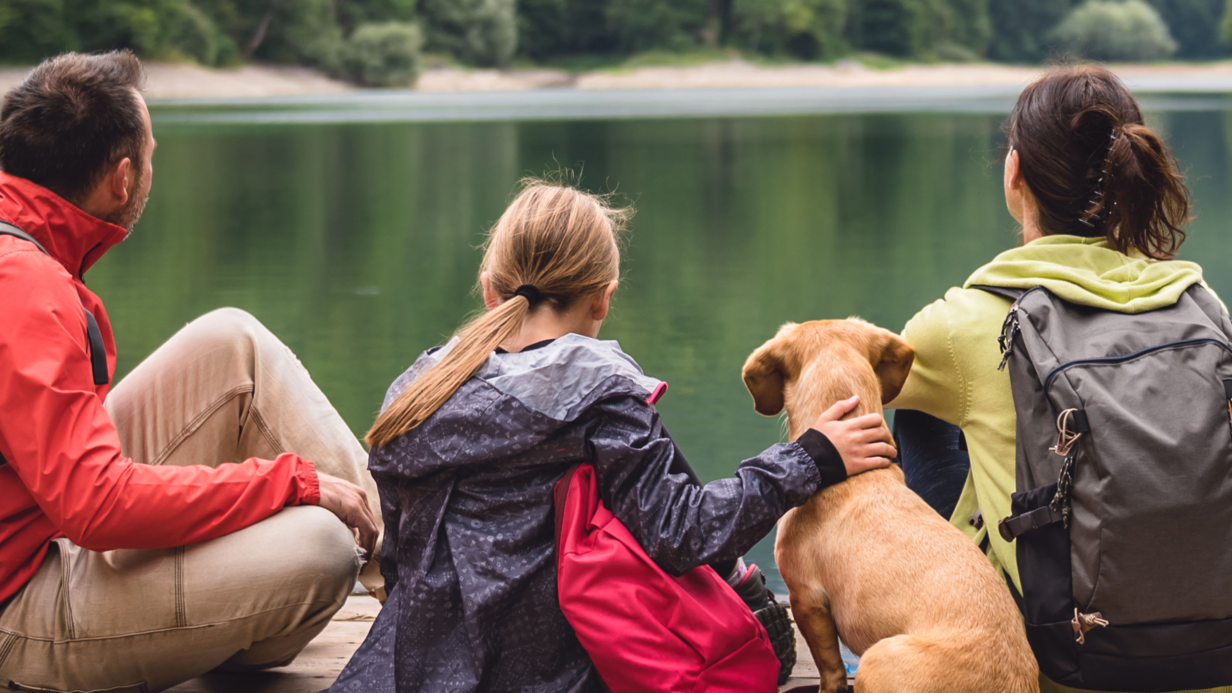 Laroy Group sfeerbeeld