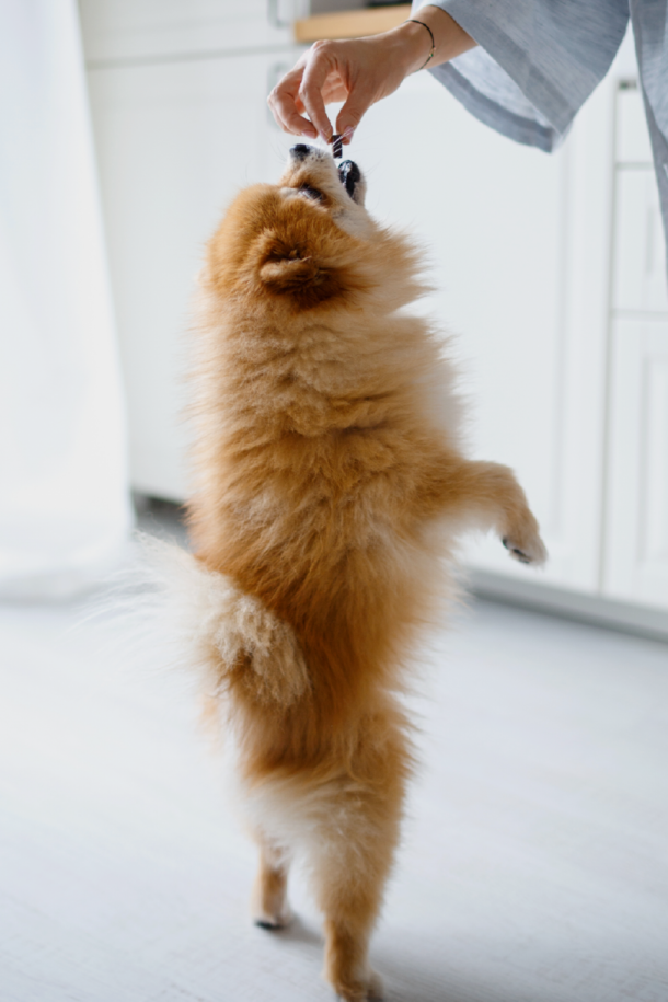 Laroy Group sfeerbeeld