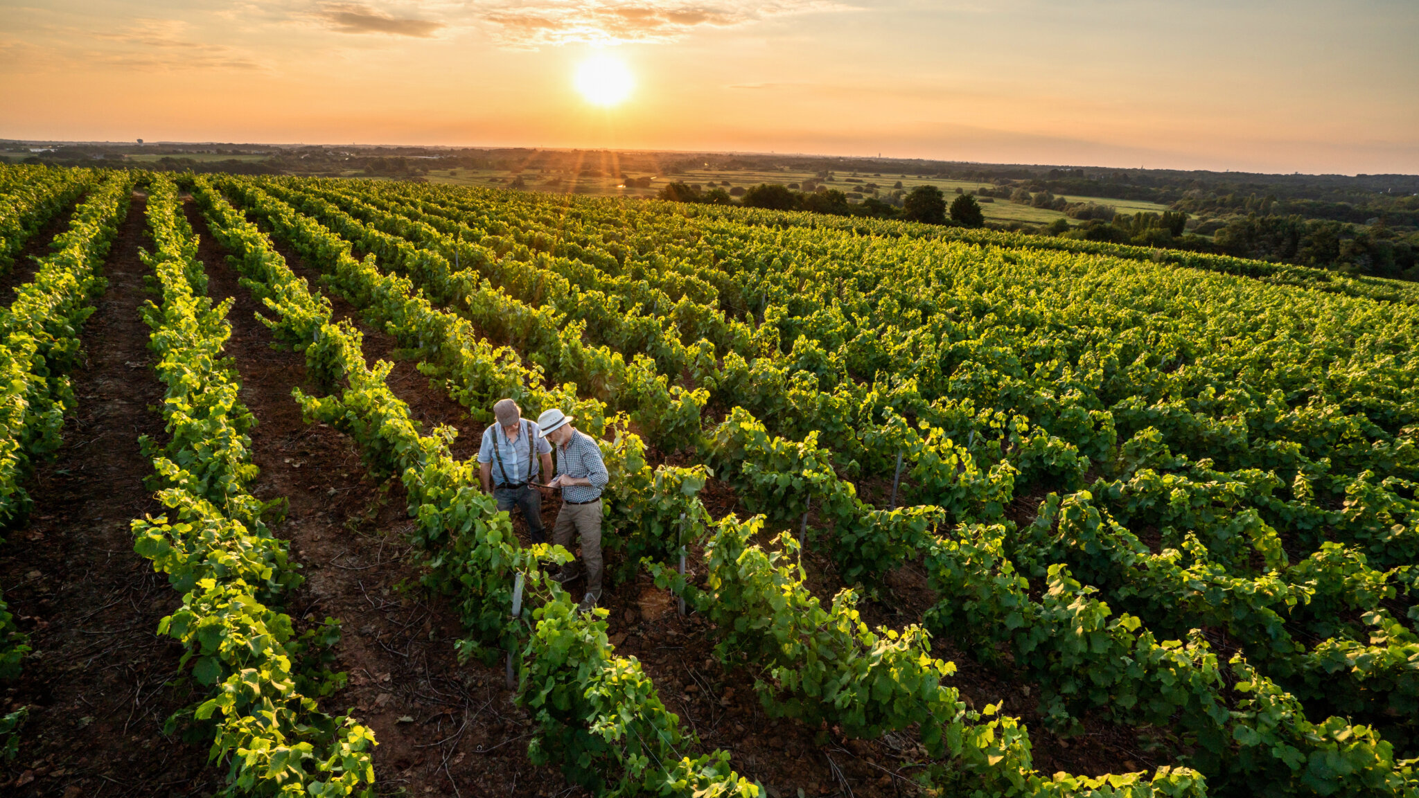 UX Men craft your tast