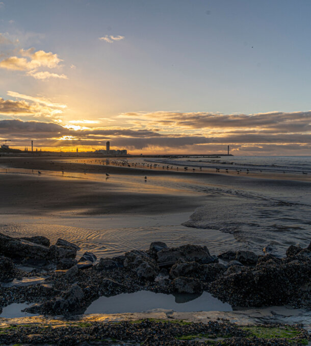 Adobe Stock 405805340