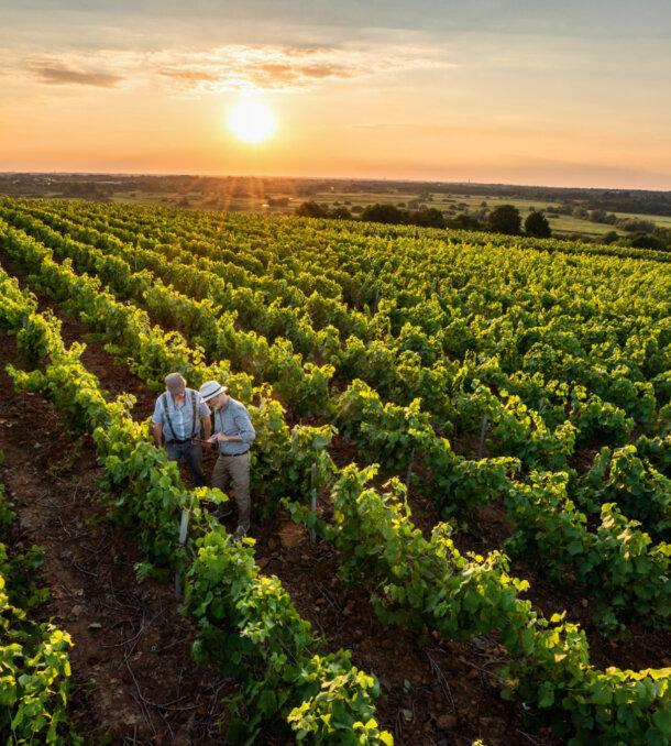 UX Men craft your tast